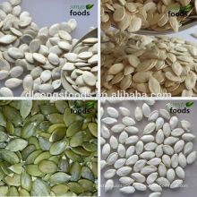 China Raw Edible Pumpkin Seeds